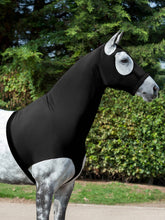 LeMieux Stretch Hood Black
